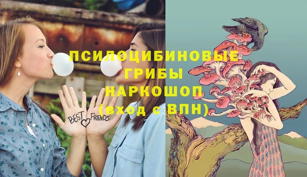 ALPHA PVP Армянск
